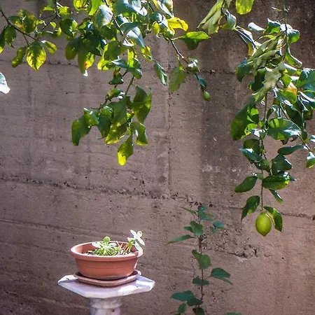Appartement Il Girasole